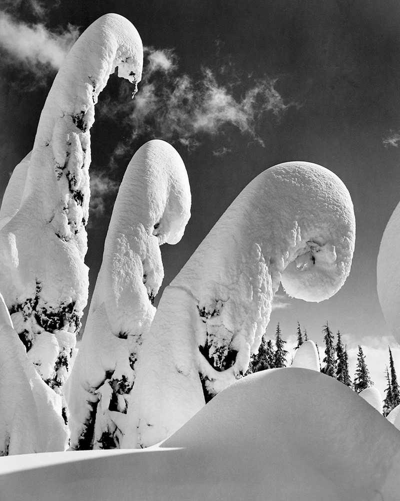 Архив классика лыжной и горной фотографии Рэя Аткесона 3