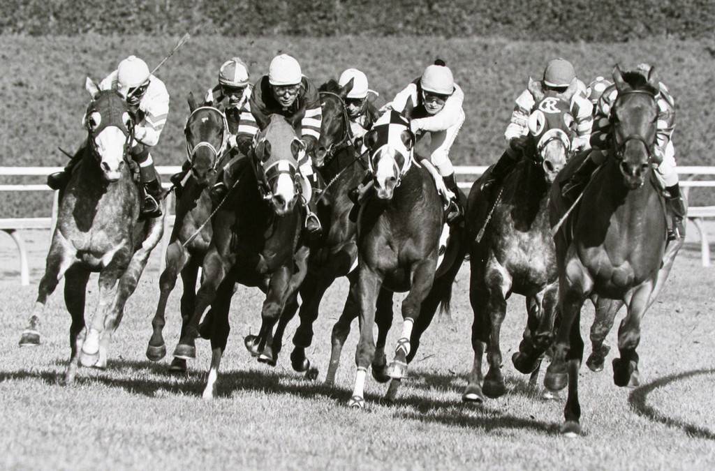 «Тёмная лошадка»: в мире конных скачек с Норманом Маускопфом 11 1