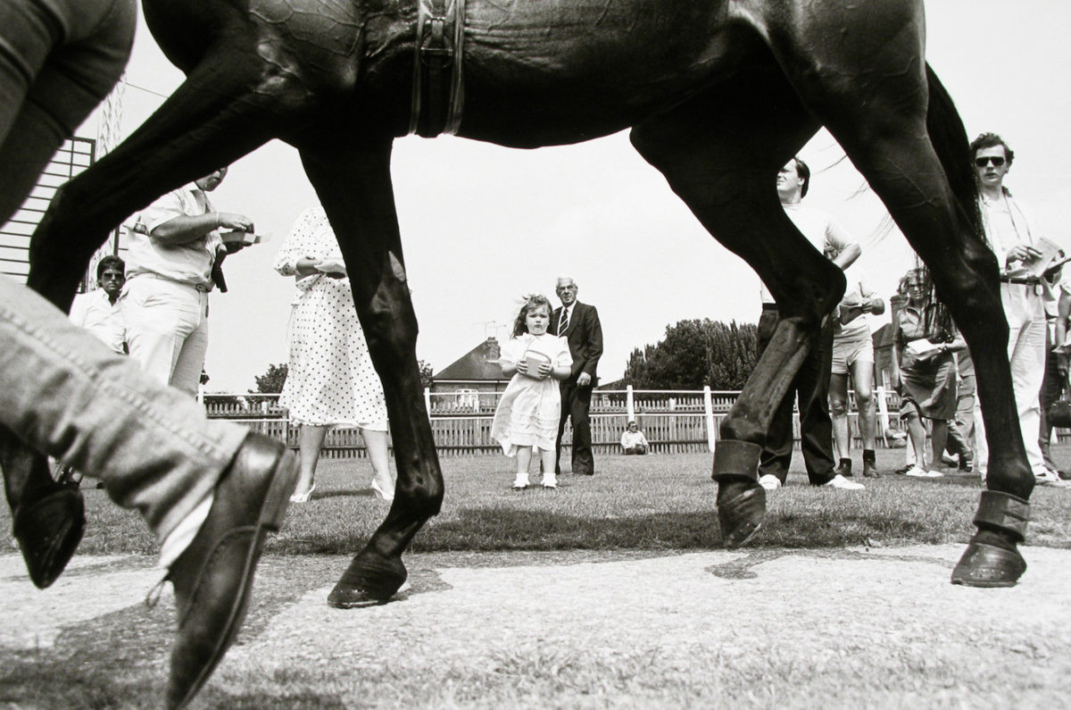 «Тёмная лошадка»: в мире конных скачек с Норманом Маускопфом 2