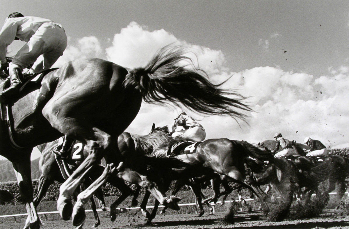 «Тёмная лошадка»: в мире конных скачек с Норманом Маускопфом 4